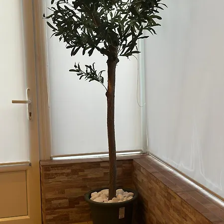 Апартамент Simeonovo Spirit Studio 1 Bed *